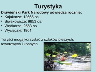 Turystyka
Drawieński Park Narodowy odwiedza rocznie:
• Kajakarze: 12665 os.
• Biwakowicze: 9853 os.
• Wędkarze: 2583 os.
• Wycieczki: 1901
Turyści mogą korzystać z szlaków pieszych,
rowerowych i konnych.
 