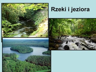 Rzeki i jeziora
 