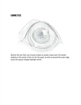 CANINE EYES
CANINE EYES
Outline the eye; then use circular strokes to create a base tone. Put darker
Outline the eye; then use circular strokes to create a base tone. Put darker
shading in the center of the iris for the pupil, as well as around the outer edge.
shading in the center of the iris for the pupil, as well as around the outer edge.
Leave the square-shaped highlight white.
Leave the square-shaped highlight white.
 