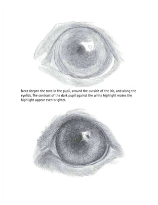 Next deepen the tone in the pupil, around the outside of the iris, and along the
Next deepen the tone in the pupil, around the outside of the iris, and along the
eyelids. The contrast of the dark pupil against the white highlight makes the
eyelids. The contrast of the dark pupil against the white highlight makes the
highlight appear even brighter.
highlight appear even brighter.
 