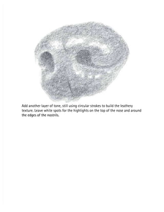 Add another layer of tone, still using circular strokes to build the leathery
Add another layer of tone, still using circular strokes to build the leathery
texture. Leave white spots for the highlights on the top of the nose and around
texture. Leave white spots for the highlights on the top of the nose and around
the edges of the nostrils.
the edges of the nostrils.
 