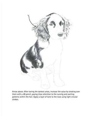 Arrow above: After toning the darkest areas, increase the value by stroking over
Arrow above: After toning the darkest areas, increase the value by stroking over
them with a 4B pencil, paying close attention to the curving and swirling
them with a 4B pencil, paying close attention to the curving and swirling
patterns within the hair. Apply a layer of tone to the nose using light circular
patterns within the hair. Apply a layer of tone to the nose using light circular
strokes.
strokes.
 