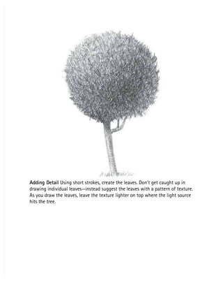 Adding Detail
Adding Detail Using short strokes, create the leaves. Don’t get caught up in
 Using short strokes, create the leaves. Don’t get caught up in
drawing individual leaves—instead suggest the leaves with a pattern of texture.
drawing individual leaves—instead suggest the leaves with a pattern of texture.
As you draw the leaves, leave the texture lighter on top where the light source
As you draw the leaves, leave the texture lighter on top where the light source
hits the tree.
hits the tree.
 