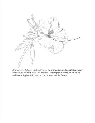 Arrow above: To begin working in tone, dip a large stump into graphite powder
Arrow above: To begin working in tone, dip a large stump into graphite powder
and stroke it into the areas that represent the deepest shadows on the petals
and stroke it into the areas that represent the deepest shadows on the petals
and leaves. Apply the deepest tone in the center of the flower.
and leaves. Apply the deepest tone in the center of the flower.
 