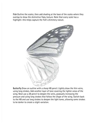 Fish
Fish Outline the scales; then add shading at the base of the scales where they
 Outline the scales; then add shading at the base of the scales where they
overlap to show the distinctive flaky texture. Note that every scale has a
overlap to show the distinctive flaky texture. Note that every scale has a
highlight—this helps capture the fish’s shimmery nature.
highlight—this helps capture the fish’s shimmery nature.
Butterfly
Butterfly Draw an outline with a sharp HB pencil. Lightly draw the thin veins,
 Draw an outline with a sharp HB pencil. Lightly draw the thin veins,
using long strokes. Add another layer of tone covering the lighter areas of the
using long strokes. Add another layer of tone covering the lighter areas of the
wing. Next use a 2B pencil to deepen the veins, gradually increasing the
wing. Next use a 2B pencil to deepen the veins, gradually increasing the
pressure and using long strokes that follow the shape of the wing. Switch back
pressure and using long strokes that follow the shape of the wing. Switch back
to the HB and use long strokes to deepen the light tones, allowing some strokes
to the HB and use long strokes to deepen the light tones, allowing some strokes
to be darker to create a slight variation.
to be darker to create a slight variation.
 
