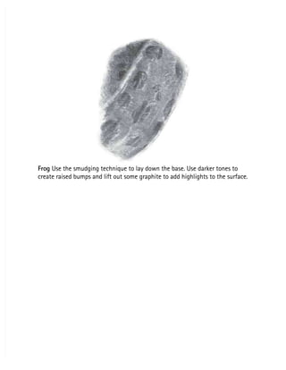 Frog
Frog Use the smudging technique to lay down the base. Use darker tones to
 Use the smudging technique to lay down the base. Use darker tones to
create raised bumps and lift out some graphite to add highlights to the surface.
create raised bumps and lift out some graphite to add highlights to the surface.
 