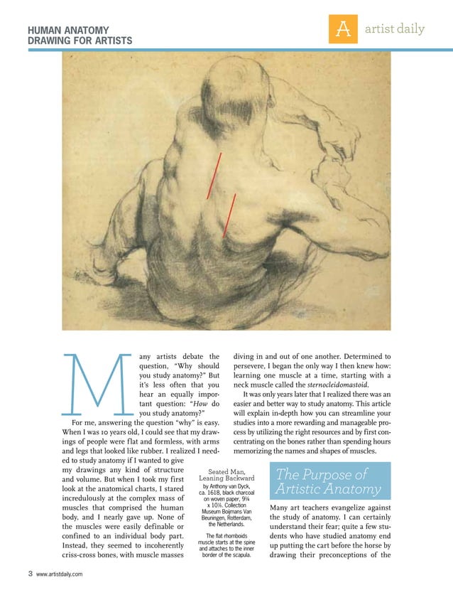 Anatomy Drawing Guide.pdf Drawing anatomy | PDF