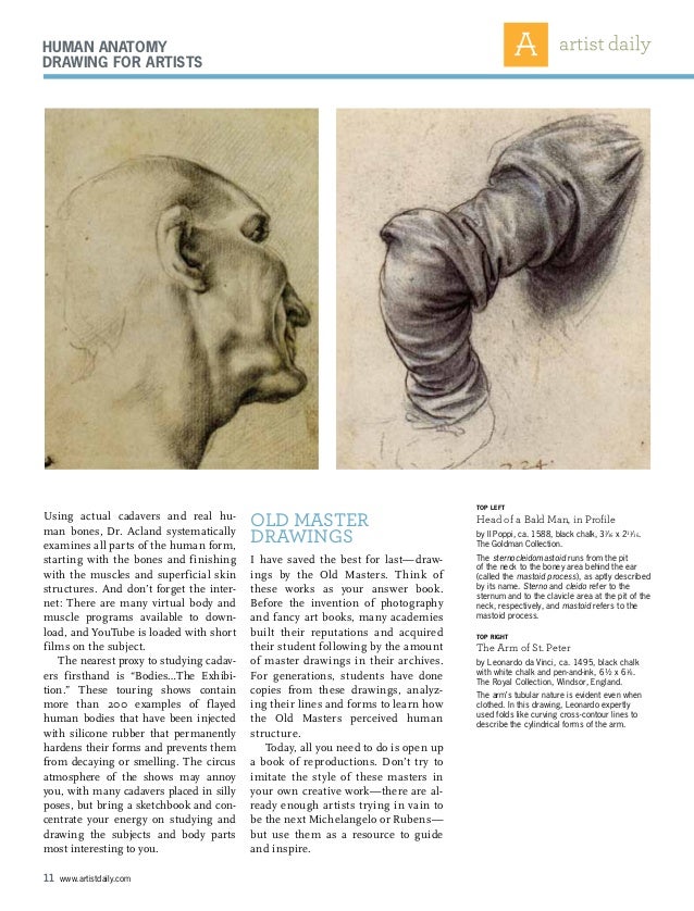  Drawing anatomy 