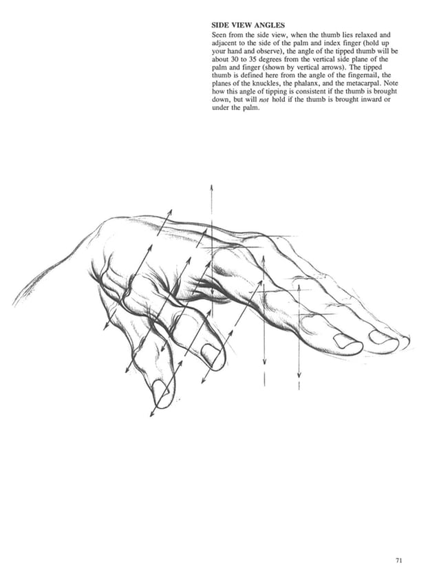 Drawing dynamic hands