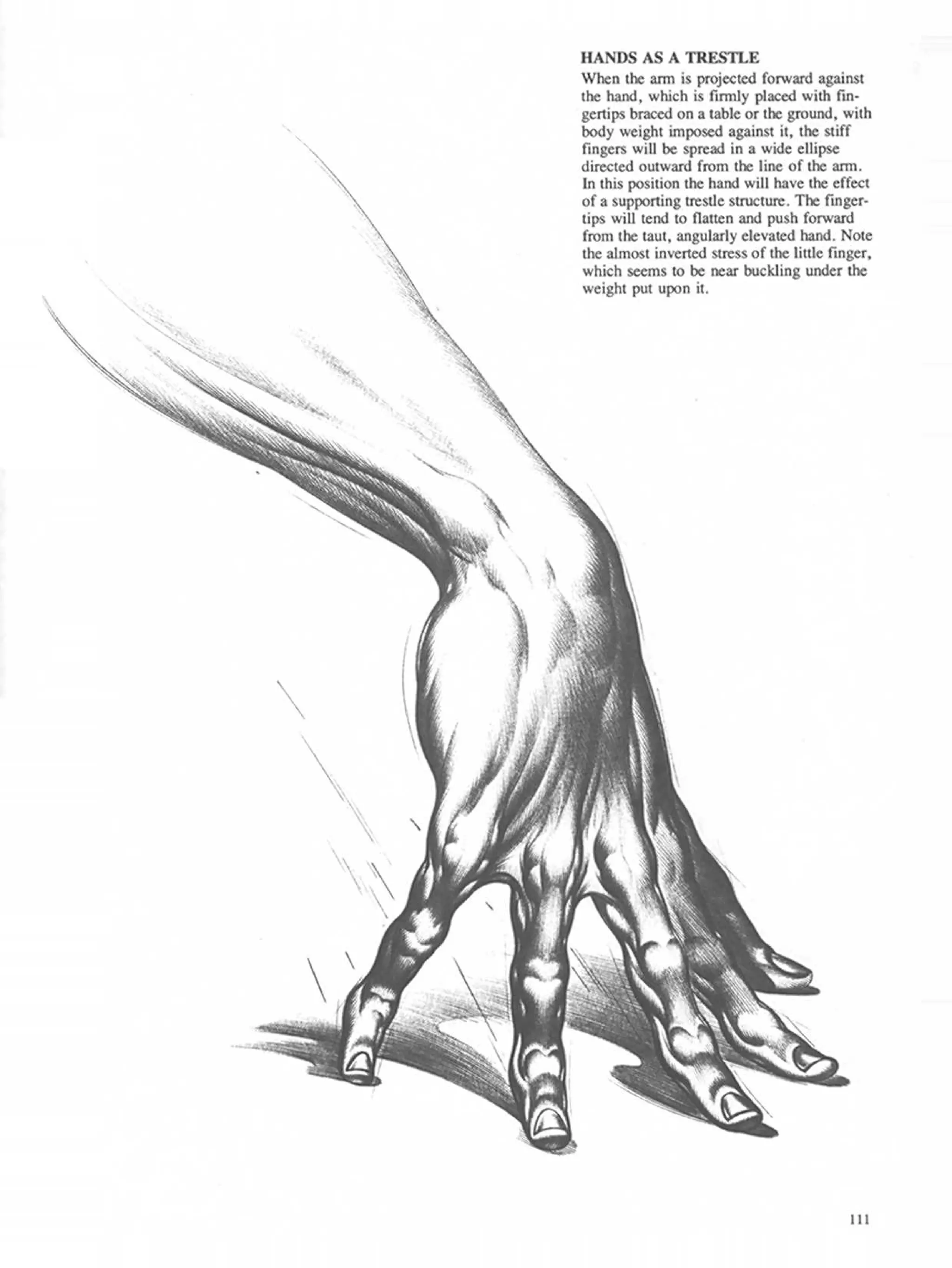 Drawing dynamic hands