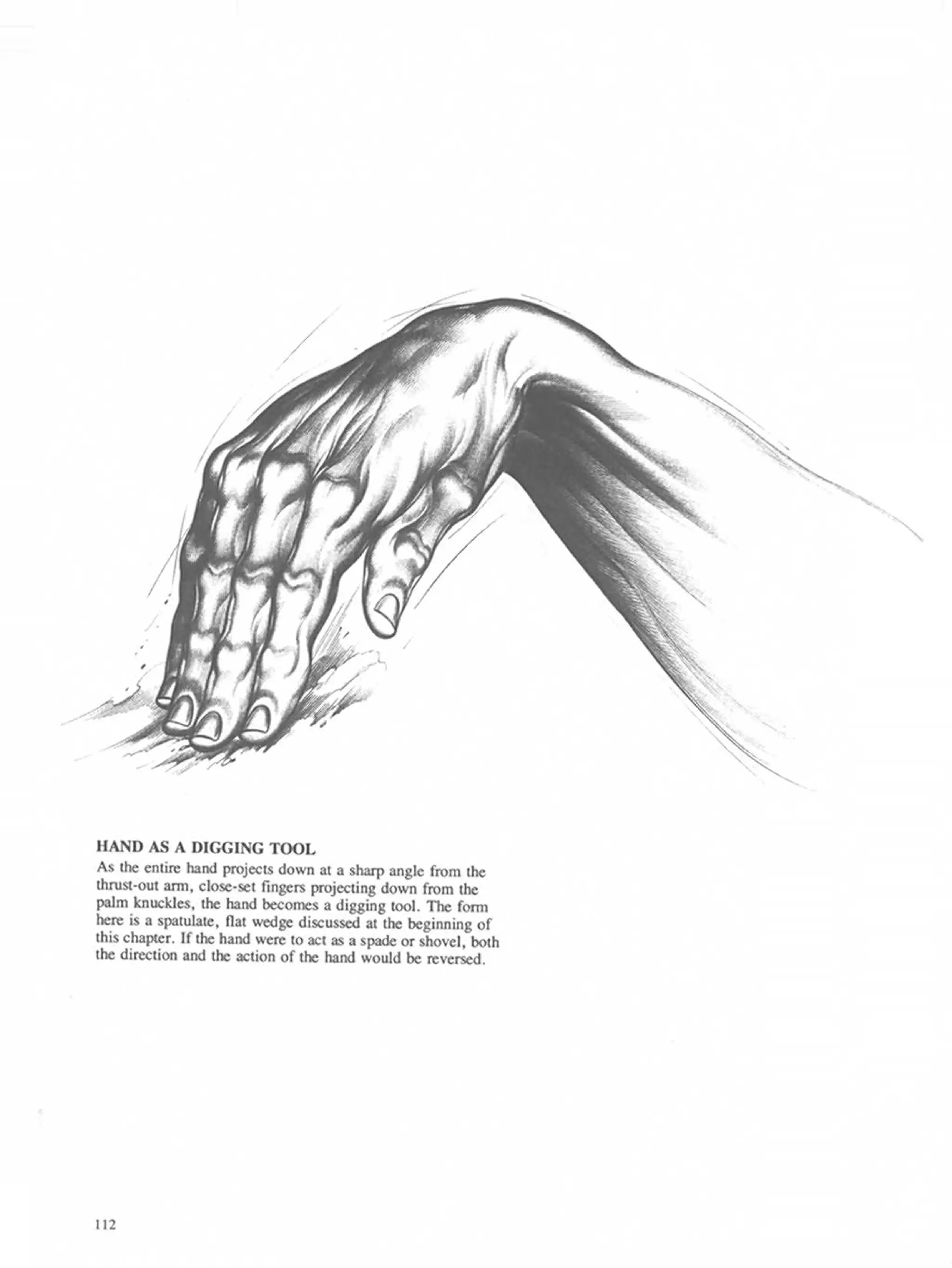 Drawing dynamic hands