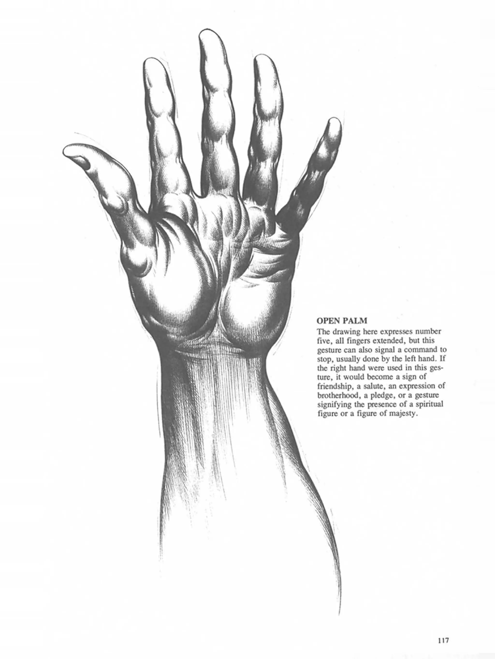 Drawing dynamic hands