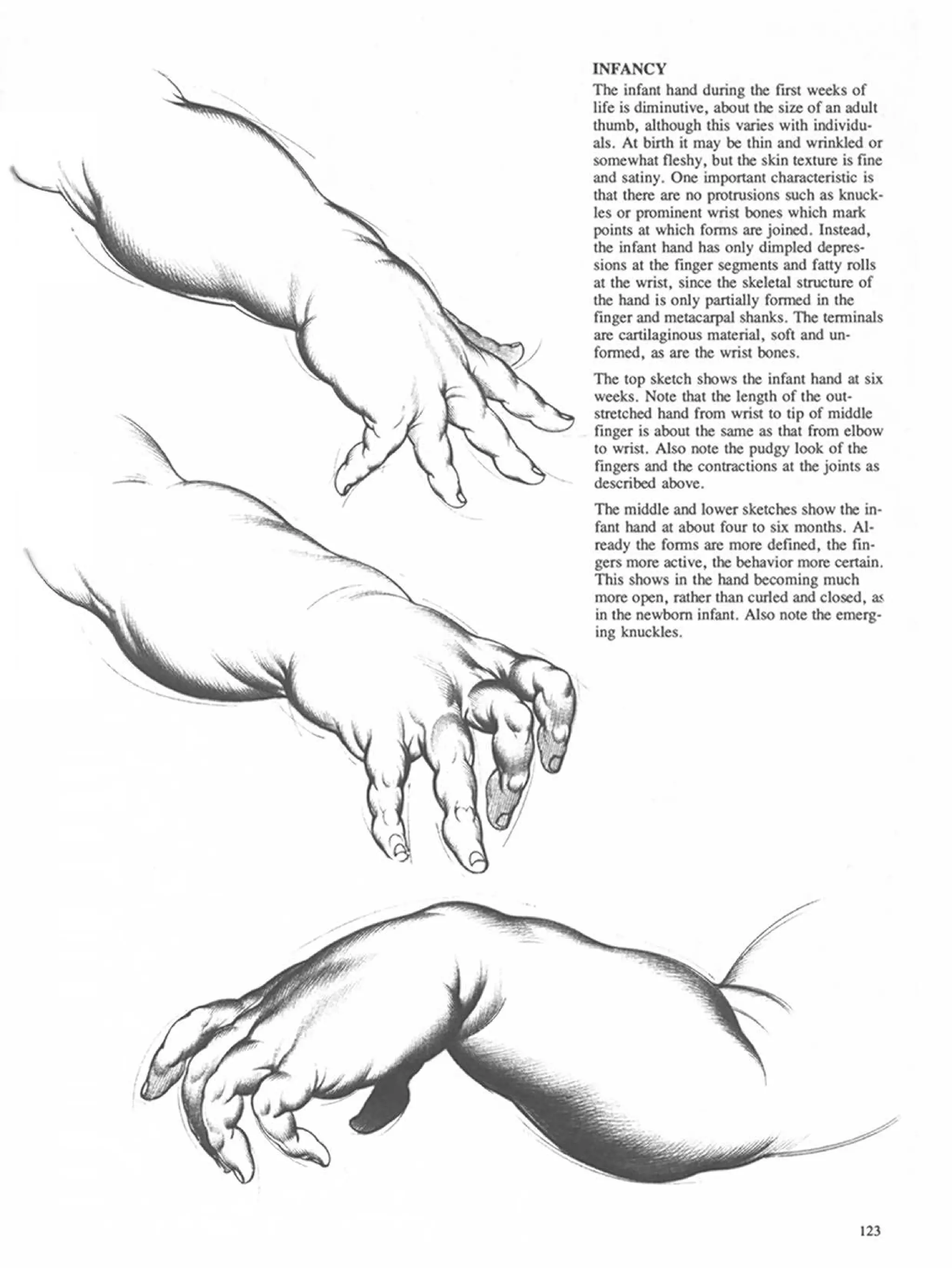 Drawing dynamic hands