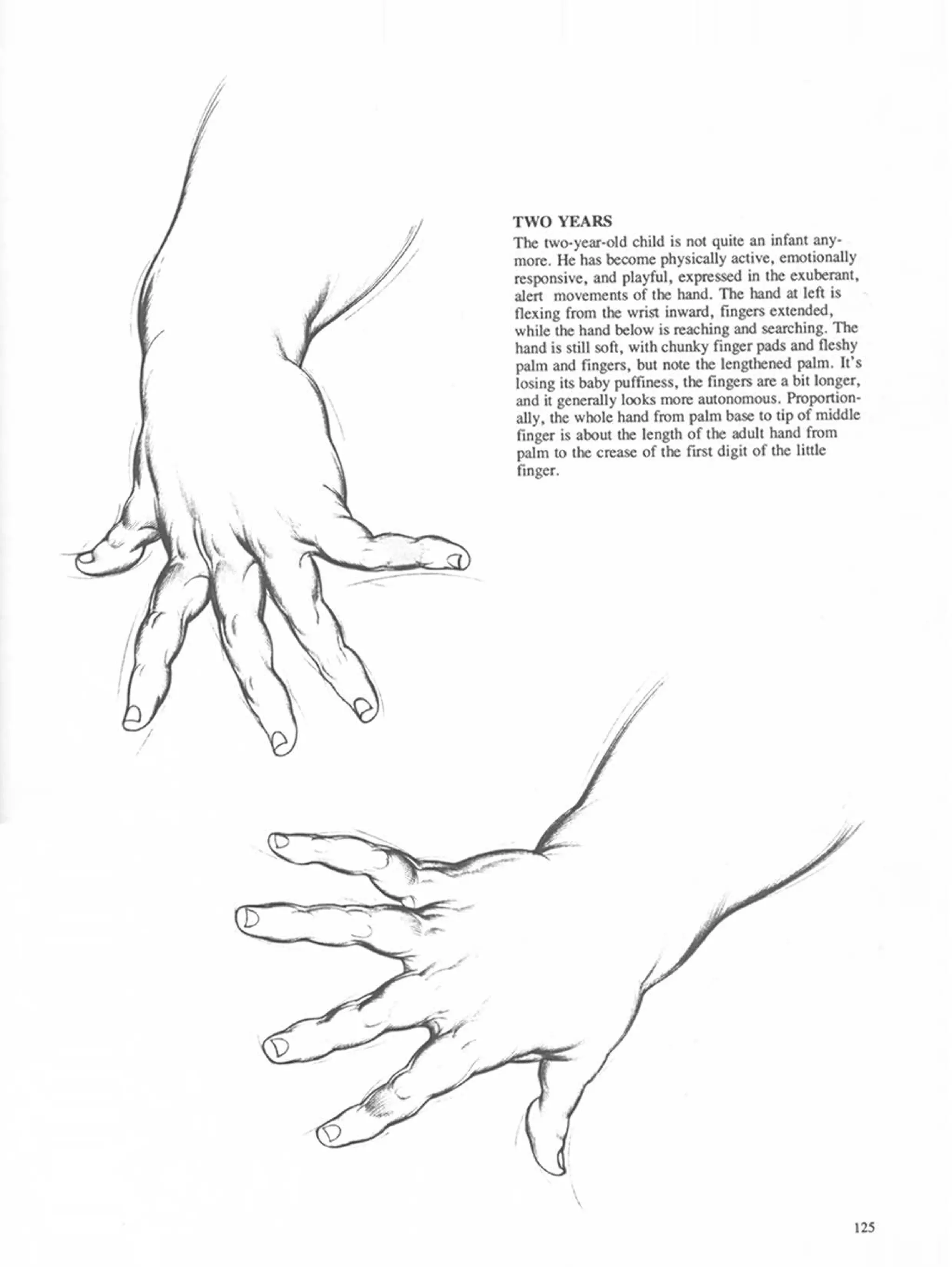 Drawing dynamic hands