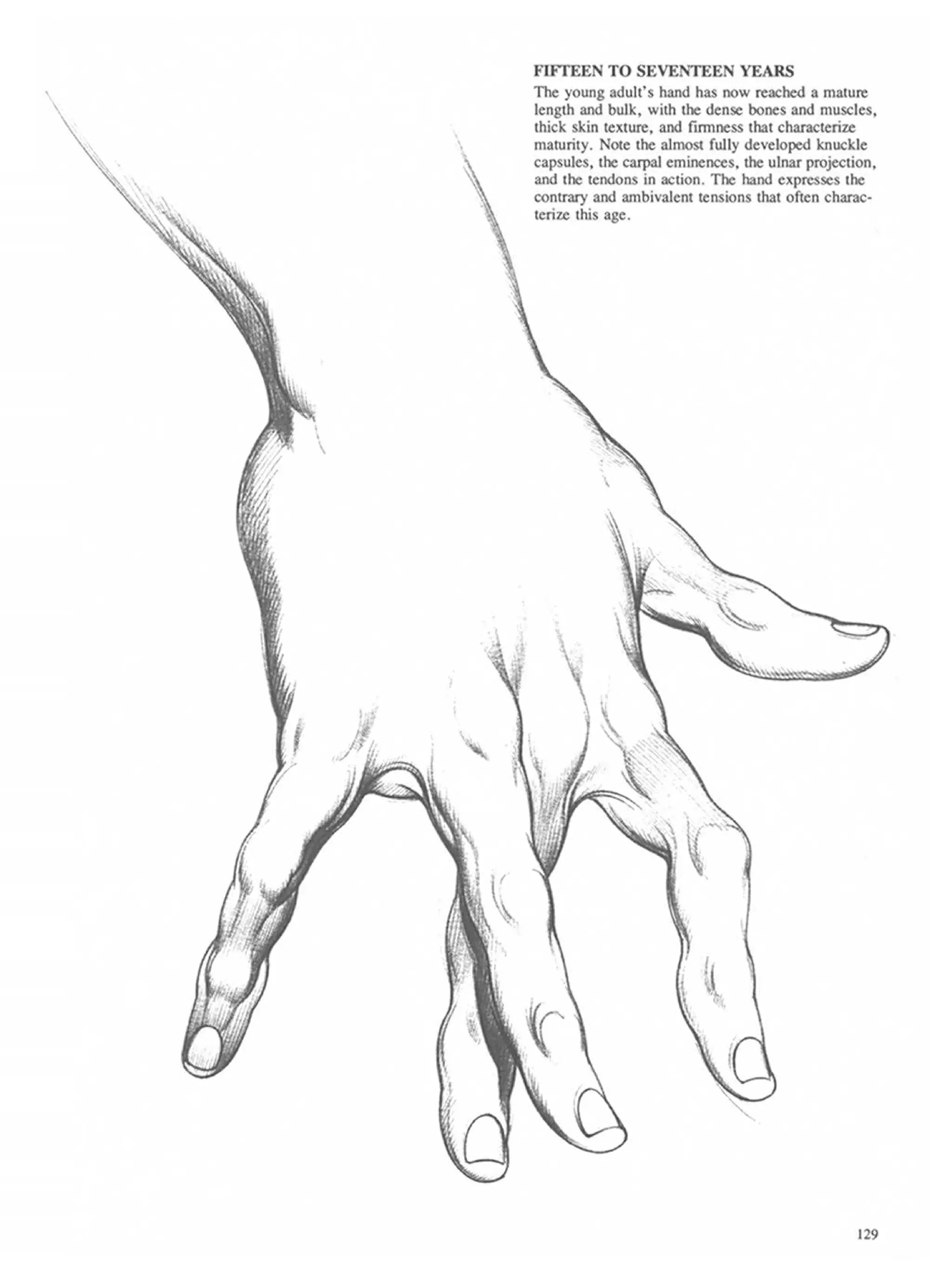 Drawing dynamic hands