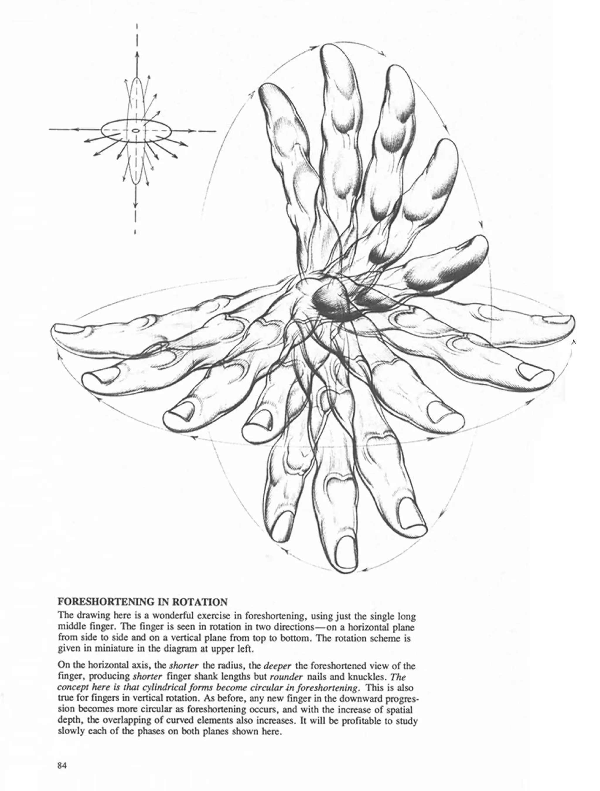 Drawing dynamic hands