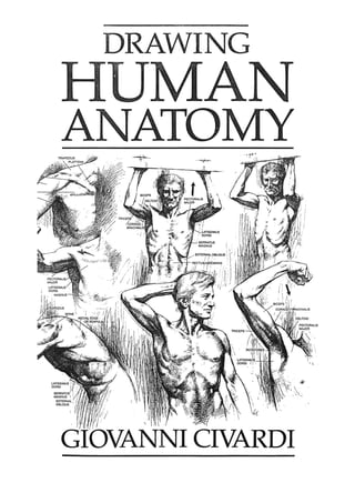 Drawing human anatomy   civardi (studio vista;1995;0289800897;eng)