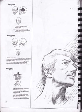 Drawing human anatomy by giovanni civardi | PDF