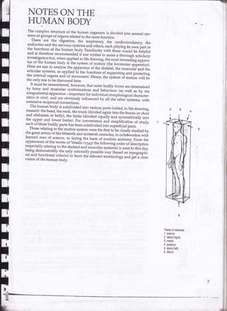 Drawing human anatomy by giovanni civardi | PDF