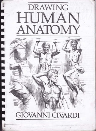 Drawing human anatomy by giovanni civardi