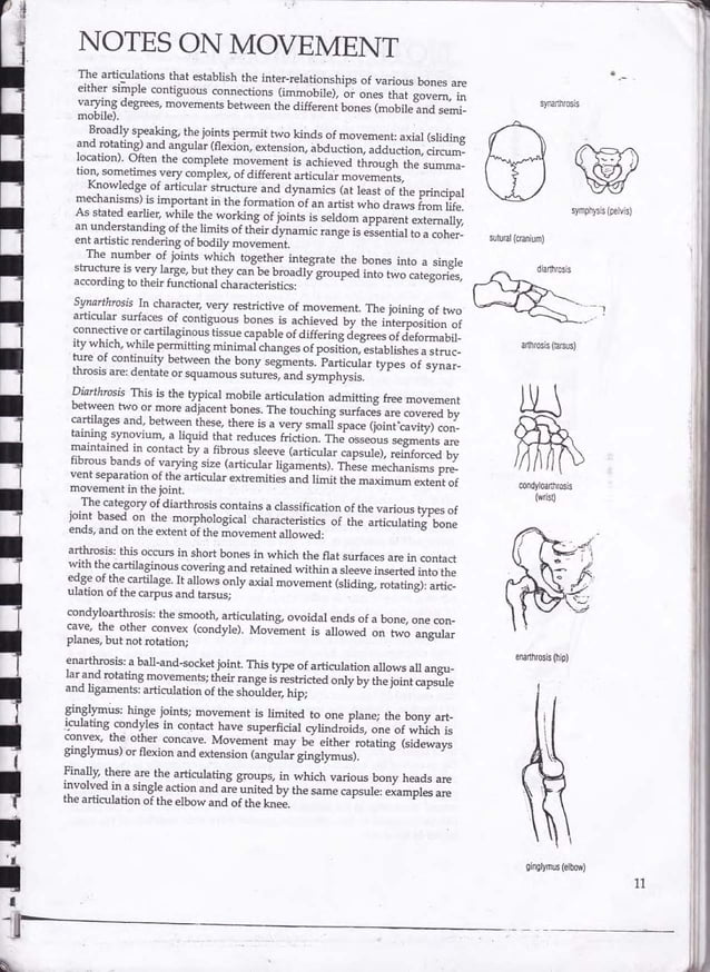 Drawing human anatomy by giovanni civardi