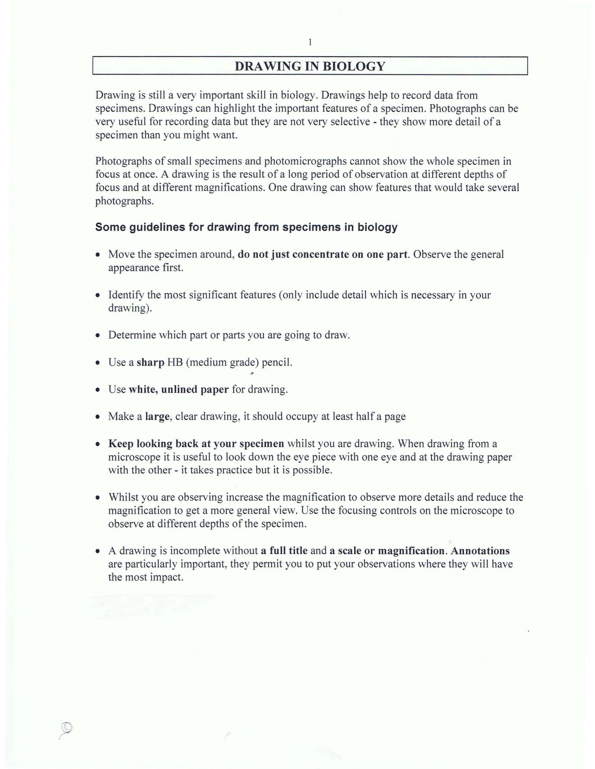 drawing_in_biology.pdf - Learn How to Draw Labs