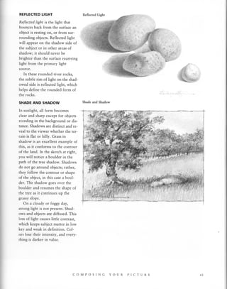 Natural Science Drawing.pdf Drawing Nature | PDF