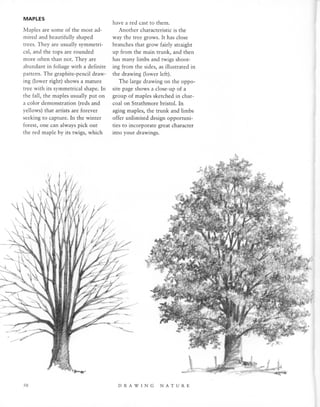 Natural Science Drawing.pdf Drawing Nature | PDF