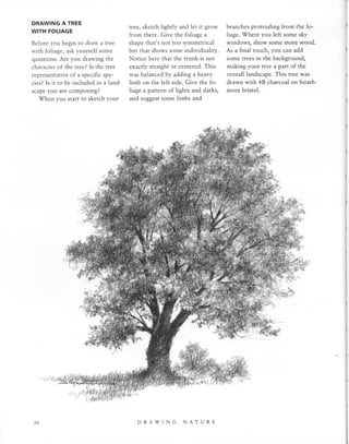 Natural Science Drawing.pdf Drawing Nature | PDF