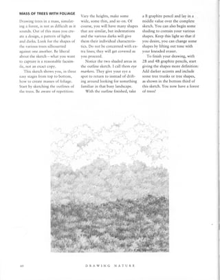 Natural Science Drawing.pdf Drawing Nature | PDF