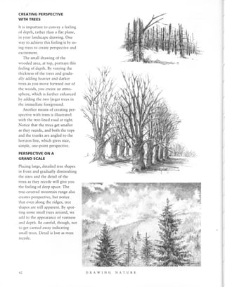 Natural Science Drawing.pdf Drawing Nature | PDF