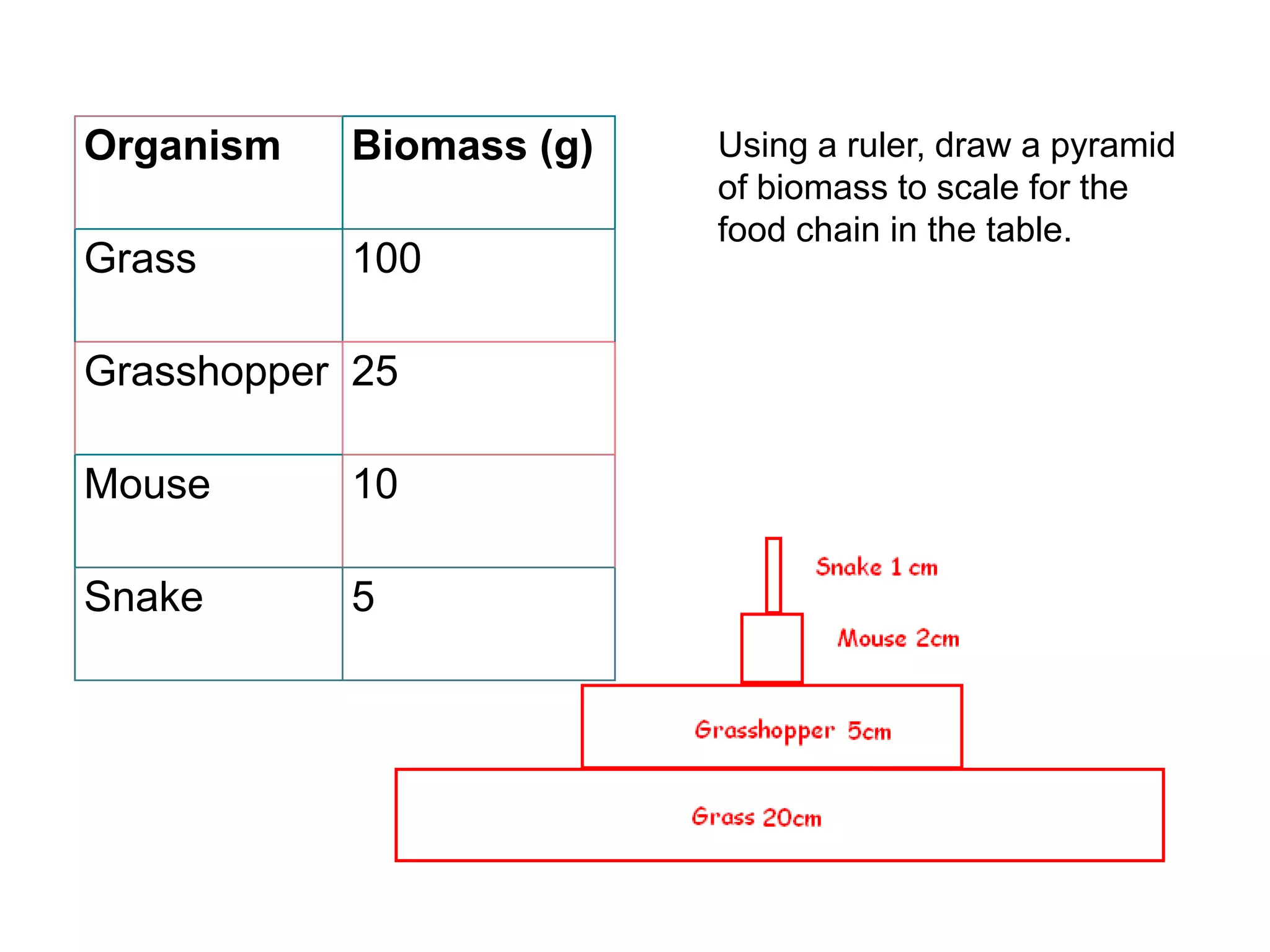 Organism Biomass (g) Using a ruler, draw a pyramid
of biomass to scale for the
food chain in the table.
Grass 100
Grasshopper 25
Mouse 10
Snake 5