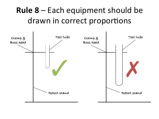 drawing scientific diagram