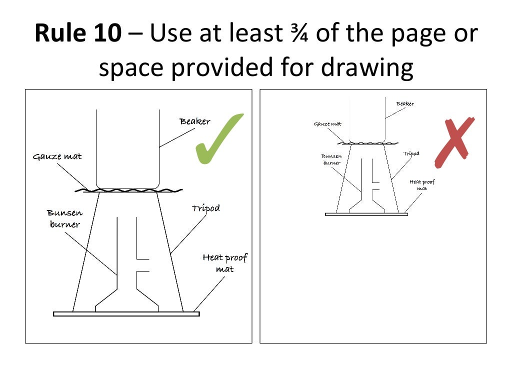 Drawing scientific diagram