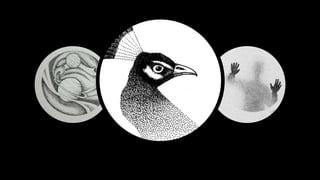 Drawings made with dots