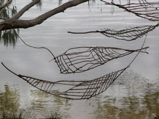 Drawings On The Water   Floating Land 2005   Sticks