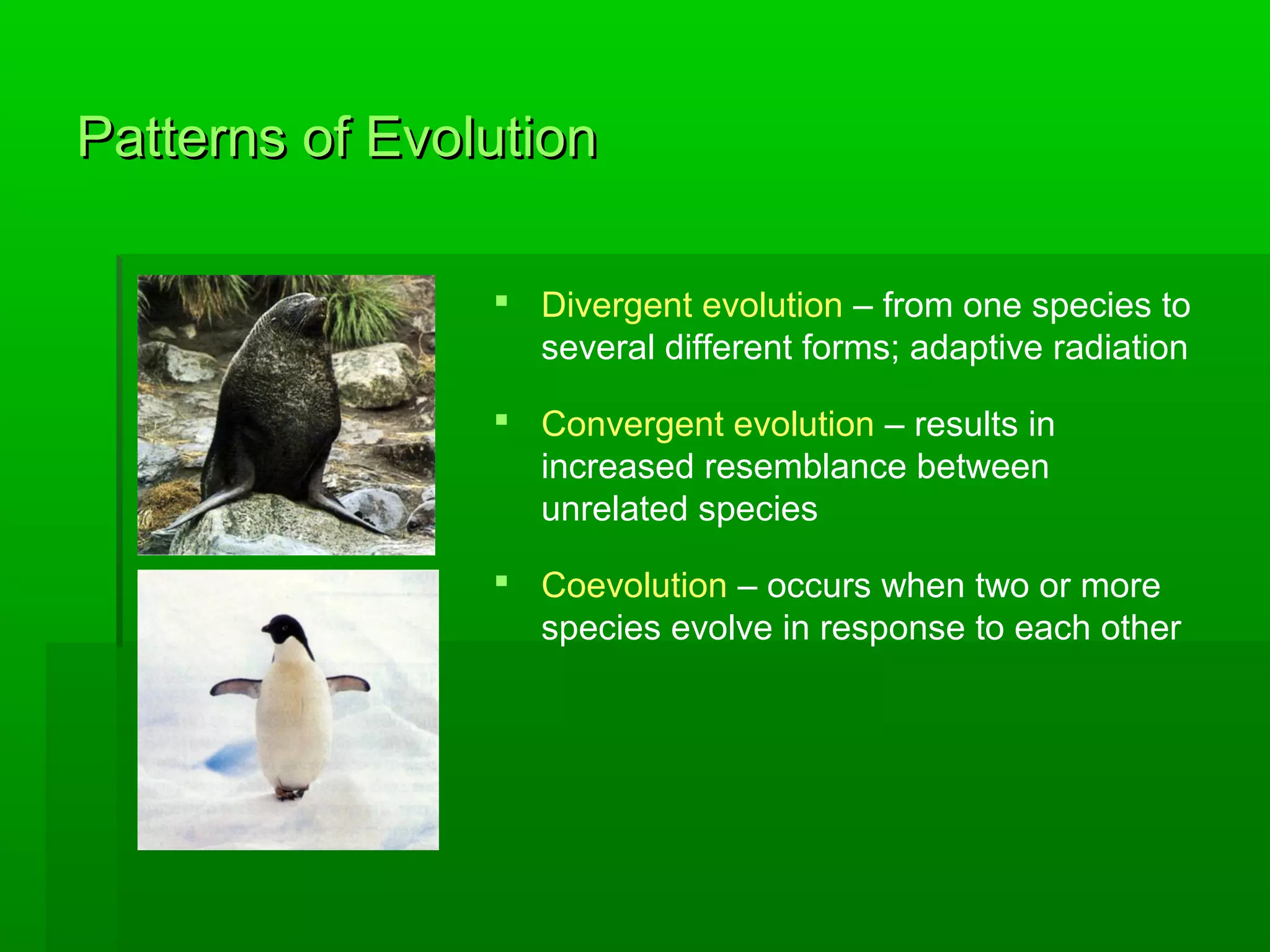 Patterns of EvolutionPatterns of Evolution
 Divergent evolution – from one species to
several different forms; adaptive radiation
 Convergent evolution – results in
increased resemblance between
unrelated species
 Coevolution – occurs when two or more
species evolve in response to each other
 
