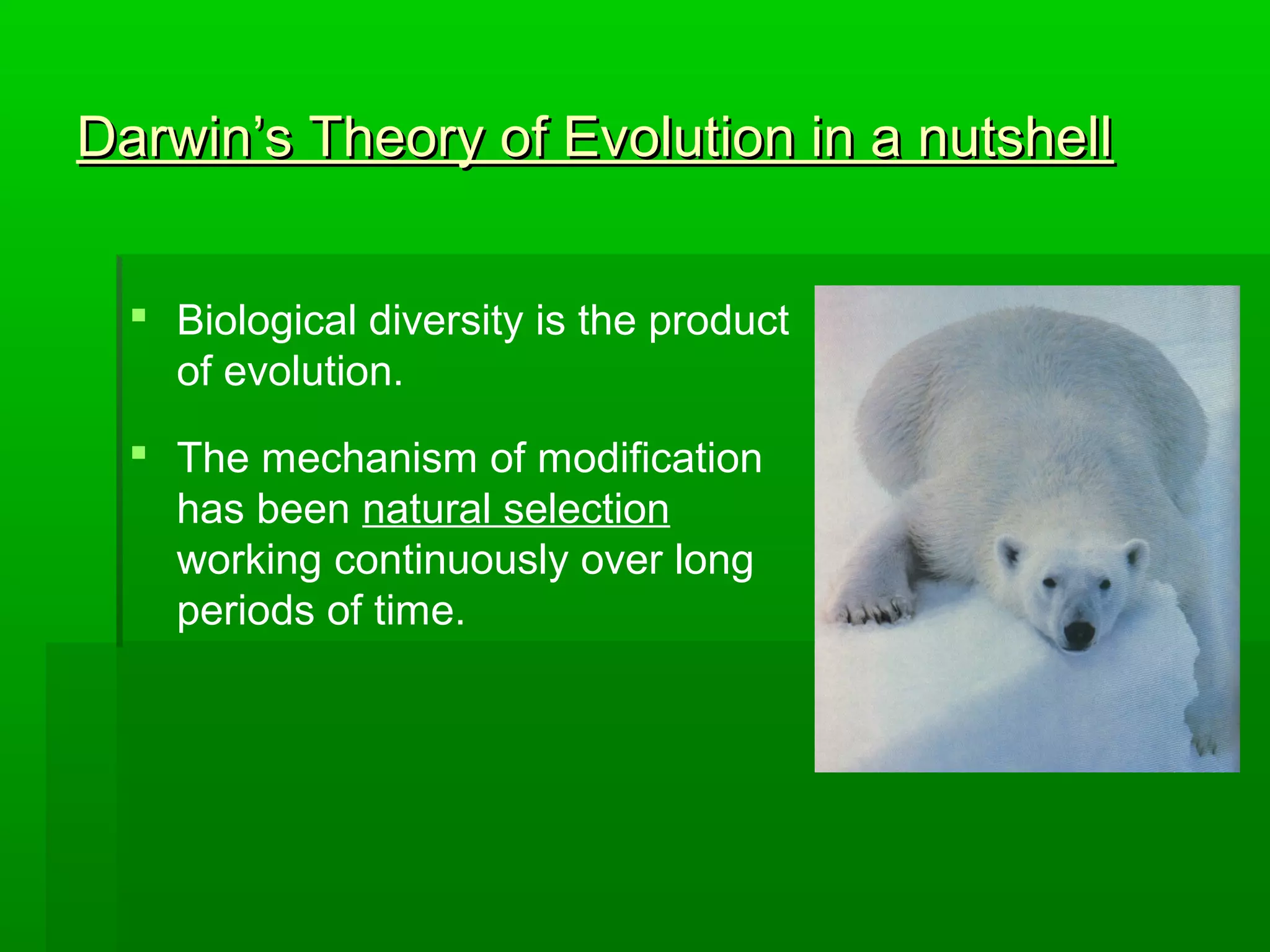 Darwin’s Theory of Evolution in a nutshellDarwin’s Theory of Evolution in a nutshell
 Biological diversity is the product
of evolution.
 The mechanism of modification
has been natural selection
working continuously over long
periods of time.
 
