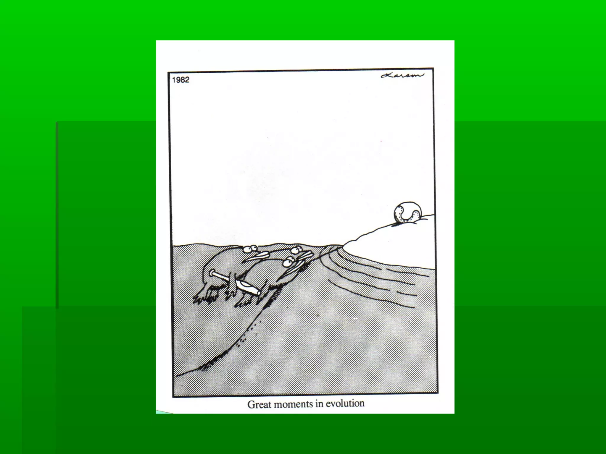 Drawins theory of evolution powerpoint