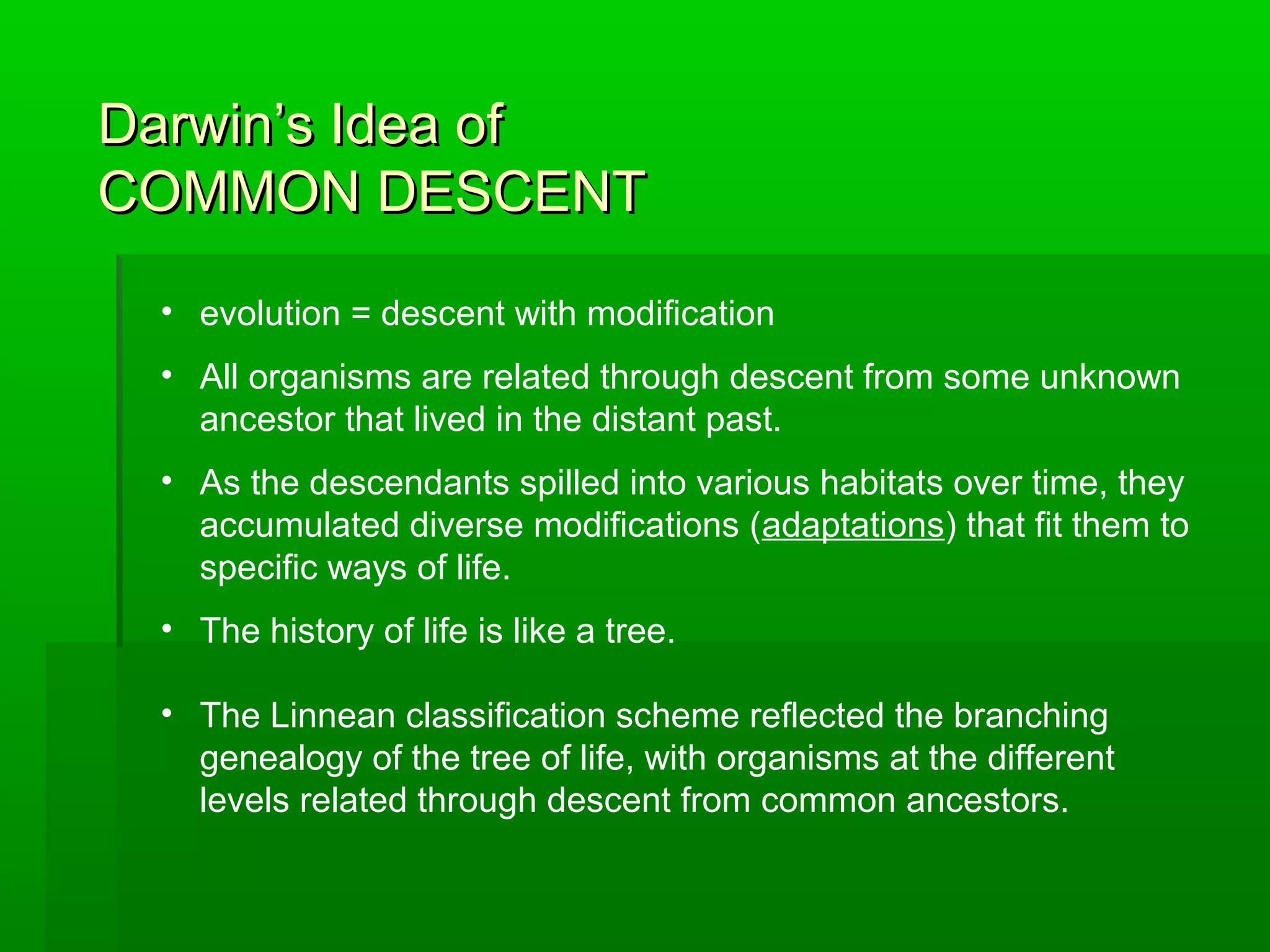 Darwin’s Idea ofDarwin’s Idea of
COMMON DESCENTCOMMON DESCENT
• evolution = descent with modification
• All organisms are related through descent from some unknown
ancestor that lived in the distant past.
• As the descendants spilled into various habitats over time, they
accumulated diverse modifications (adaptations) that fit them to
specific ways of life.
• The history of life is like a tree.
• The Linnean classification scheme reflected the branching
genealogy of the tree of life, with organisms at the different
levels related through descent from common ancestors.
 