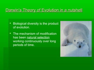Darwin’s Theory of Evolution in a nutshellDarwin’s Theory of Evolution in a nutshell
 Biological diversity is the product
of evolution.
 The mechanism of modification
has been natural selection
working continuously over long
periods of time.
 