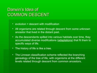 Darwin’s Idea ofDarwin’s Idea of
COMMON DESCENTCOMMON DESCENT
• evolution = descent with modification
• All organisms are related through descent from some unknown
ancestor that lived in the distant past.
• As the descendants spilled into various habitats over time, they
accumulated diverse modifications (adaptations) that fit them to
specific ways of life.
• The history of life is like a tree.
• The Linnean classification scheme reflected the branching
genealogy of the tree of life, with organisms at the different
levels related through descent from common ancestors.
 