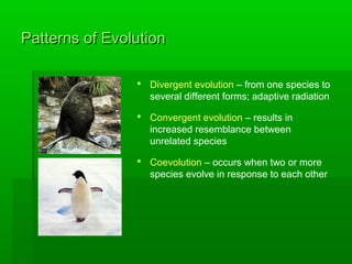 Darwins theory of evolution | PPT