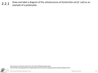 http://sciencevideos.wordpress.com Draw the Core 10
2.2.1
Draw and label a diagram of the ultrastructure of Escherichia coli (E. coli) as an
example of a prokaryote.
All assessment statements taken from the online IB Biology subject guide:
http://xmltwo.ibo.org/publications/migrated/production-app2.ibo.org/publication/7/part/2/chapter/2.html
 
