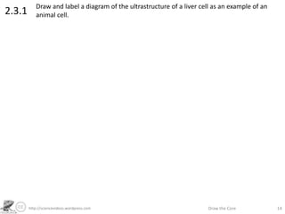 http://sciencevideos.wordpress.com Draw the Core 14
2.3.1
Draw and label a diagram of the ultrastructure of a liver cell as an example of an
animal cell.
 