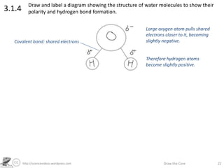 http://sciencevideos.wordpress.com Draw the Core 22
3.1.4 Draw and label a diagram showing the structure of water molecules to show their
polarity and hydrogen bond formation.
Large oxygen atom pulls shared
electrons closer to it, becoming
slightly negative.
Therefore hydrogen atoms
become slightly positive.
Covalent bond: shared electrons
 