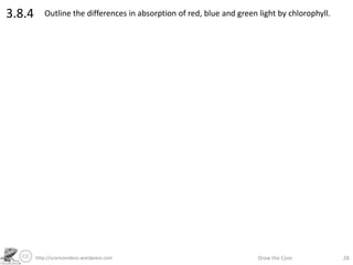 http://sciencevideos.wordpress.com Draw the Core 28
3.8.4 Outline the differences in absorption of red, blue and green light by chlorophyll.
 