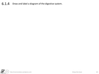 http://sciencevideos.wordpress.com Draw the Core 45
6.1.4 Draw and label a diagram of the digestive system.
 