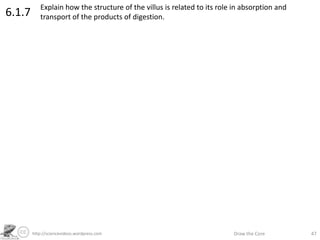 http://sciencevideos.wordpress.com Draw the Core 47
6.1.7 Explain how the structure of the villus is related to its role in absorption and
transport of the products of digestion.
 