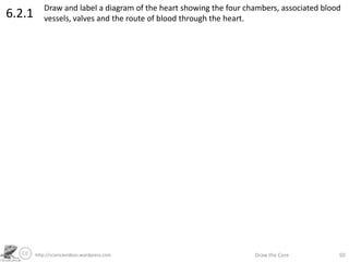 http://sciencevideos.wordpress.com Draw the Core 50
6.2.1 Draw and label a diagram of the heart showing the four chambers, associated blood
vessels, valves and the route of blood through the heart.
 